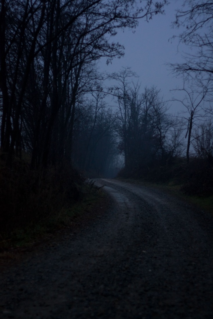 dark web websites reddit