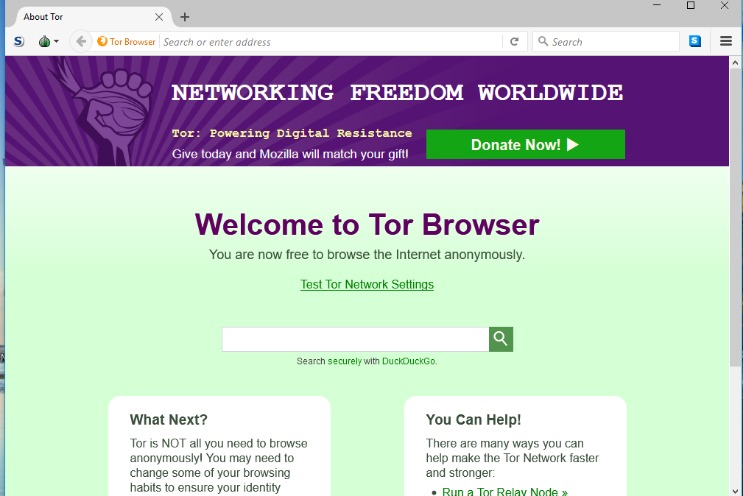 how can i access dark web