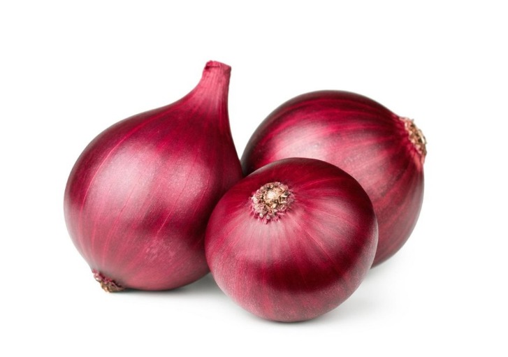 onion links sites