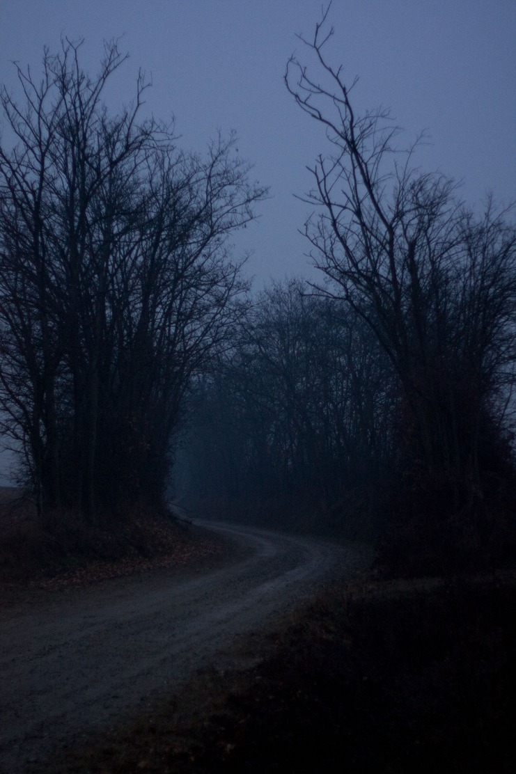 dark markets colombia