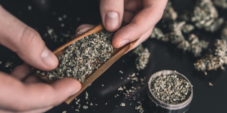 weed darknet market