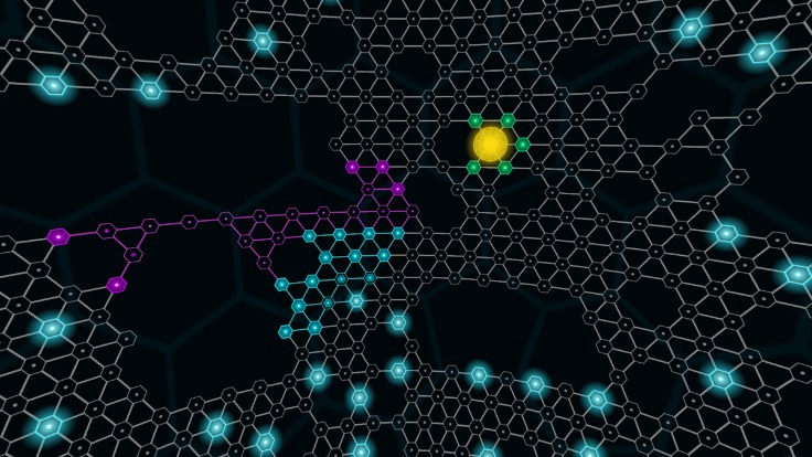 Heineken Express darknet Market