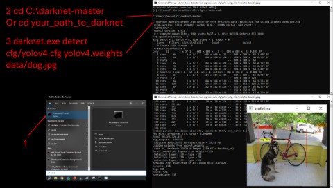 darknet database market