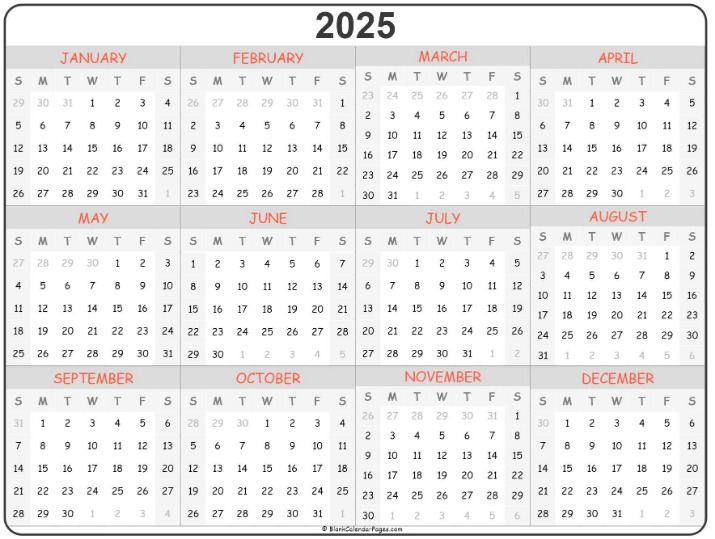 2025 darknet markets