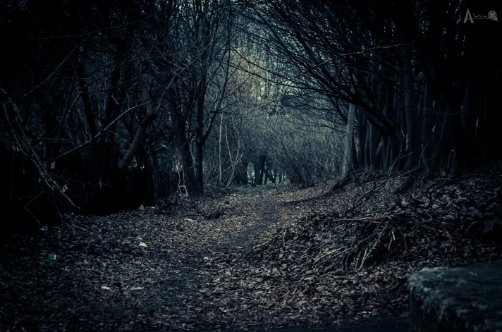 dark web markets 2023