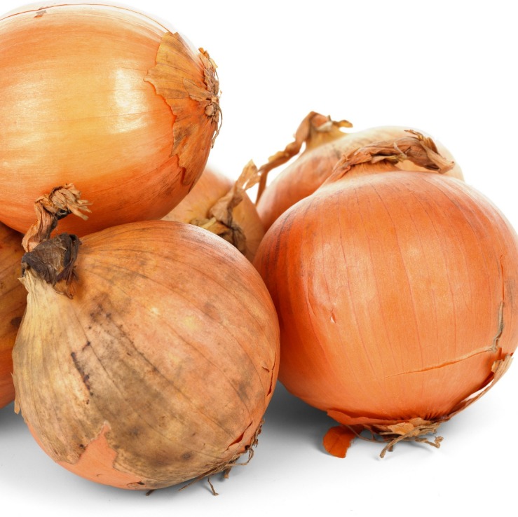 onion websites for credit cards