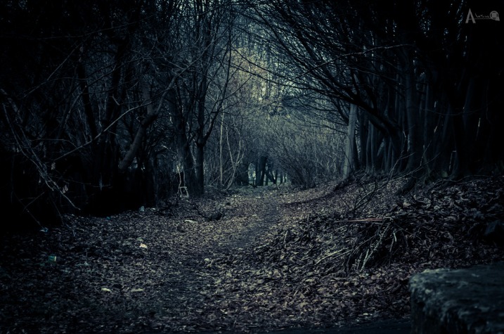 dark websites reddit