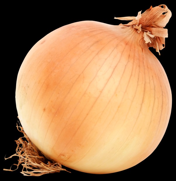 onion websites for credit cards