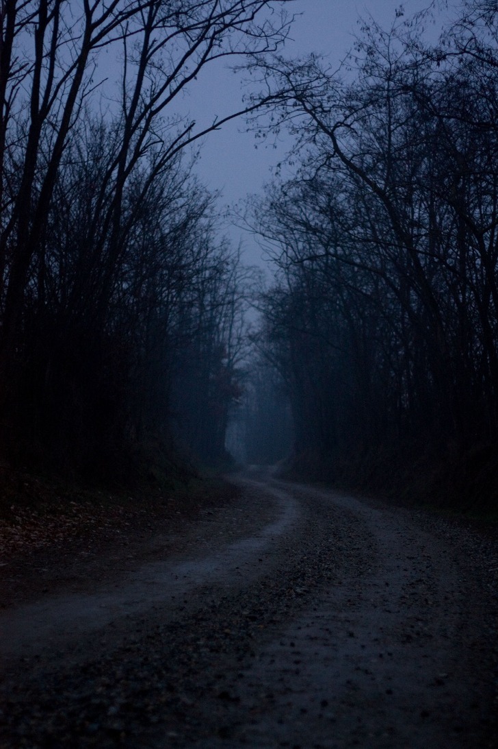 dark web drug market 2024