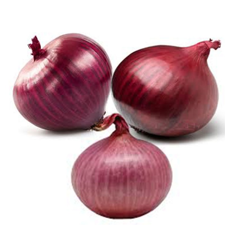 the onion directory