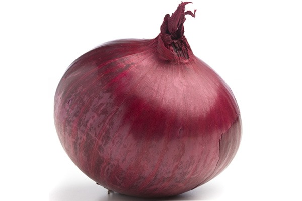 onion links 2025