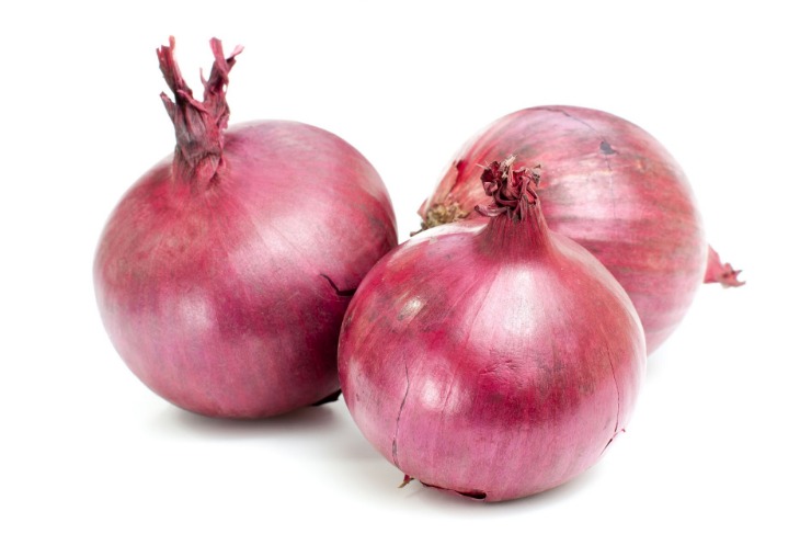 onion live links