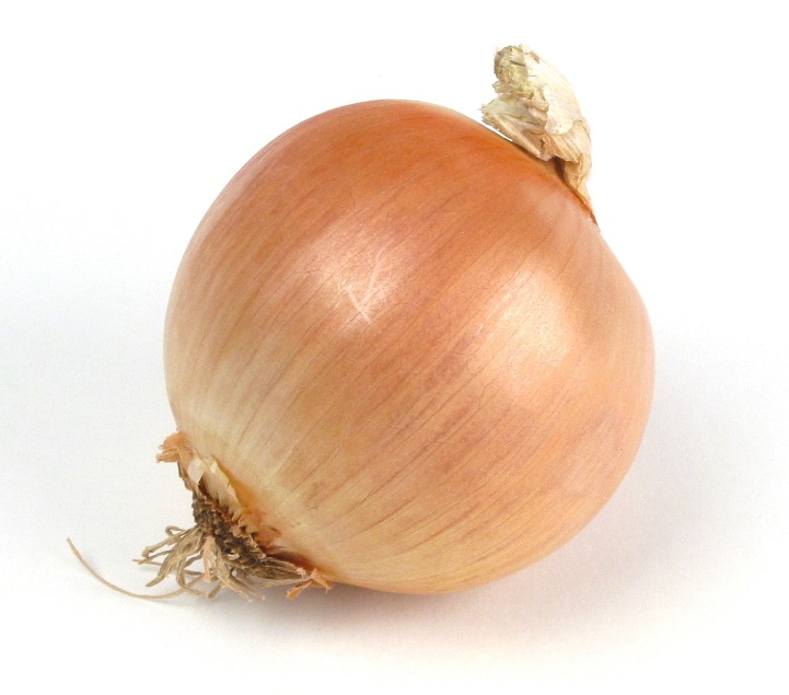 onion live links
