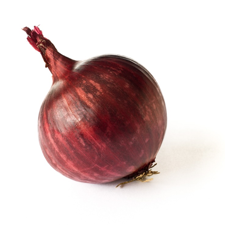 onion links credit card