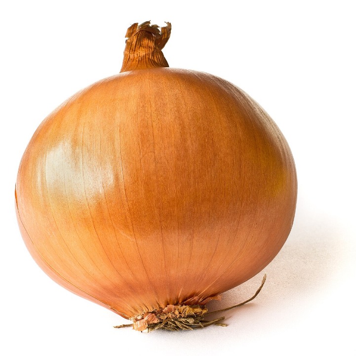 onion links credit card