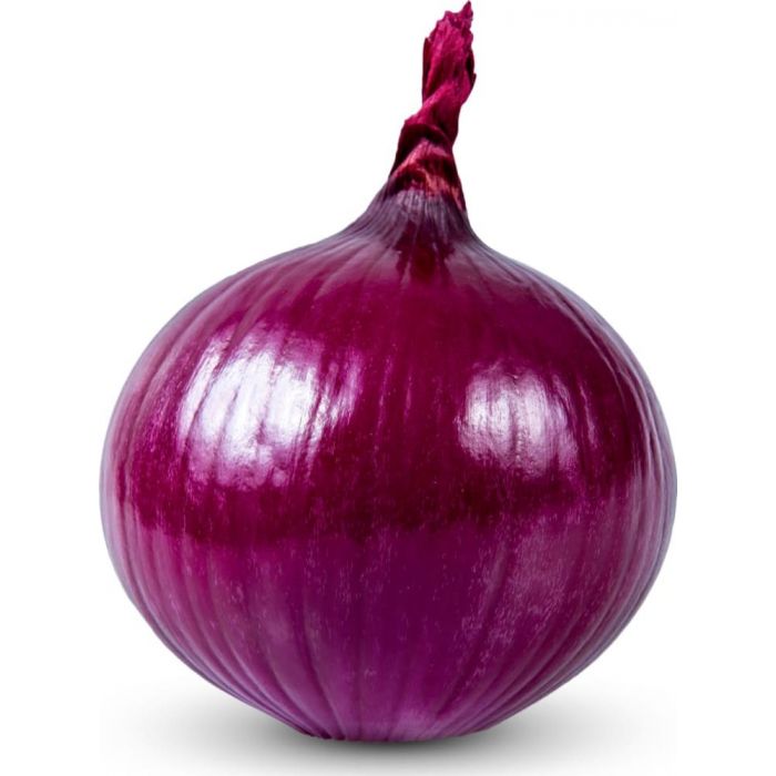 onion directory 2025