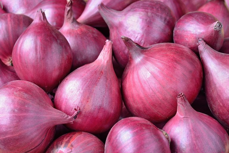 onion directory 2025