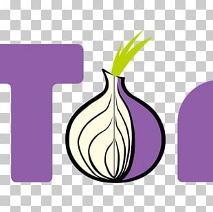 dark web onion