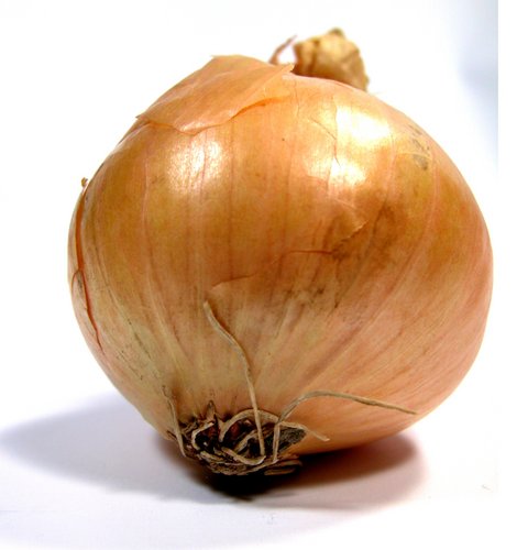 onion websites for credit cards