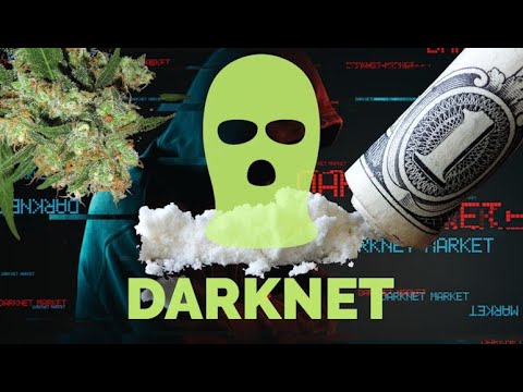 search darknet markets