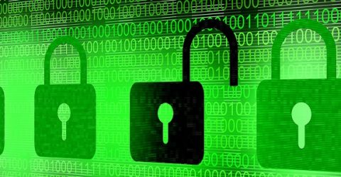 tor for dark web