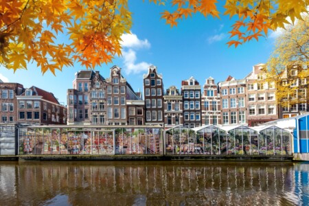 we amsterdam