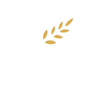 buy darknet market email address